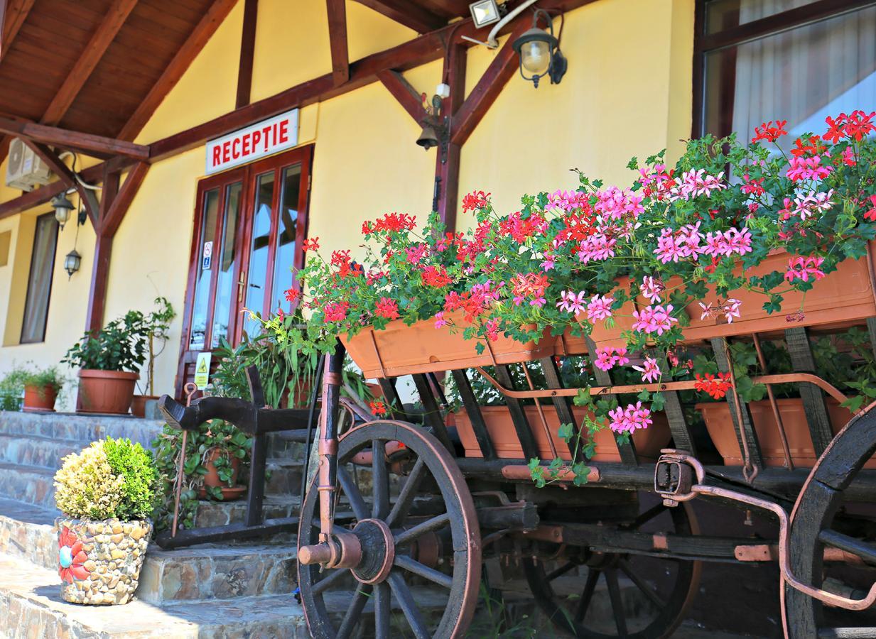 Pension Varadia Oradea Luaran gambar